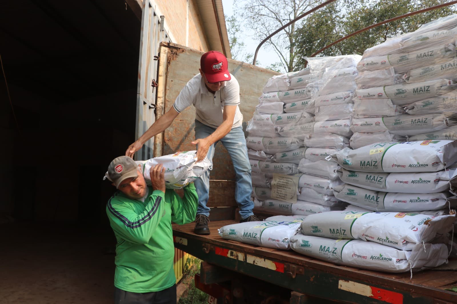 Inversión de más de G. 1.000 millones en semillas de maíz beneficiará a 1.440 familias rurales